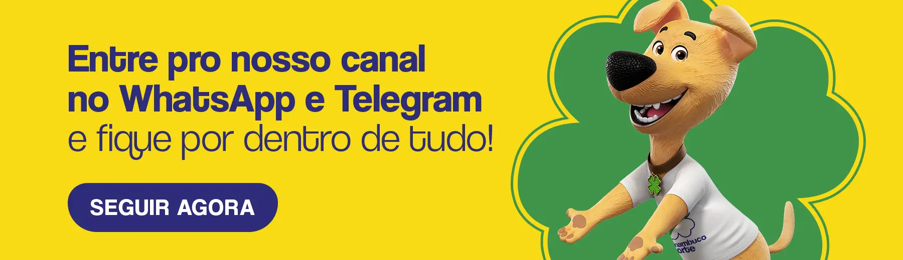 CADASTRE-SE EM NOSSOS CANAIS DIGITAIS